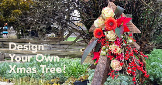 Ditch Plastic Floral Foam: Create Stunning, Sustainable Christmas Arrangements with Sideau®