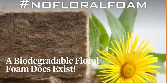 The More Sustainable, the Better: No Plastic Floral Foam! Backs Sideau® as the Biodegradable Floral Foam Alternative