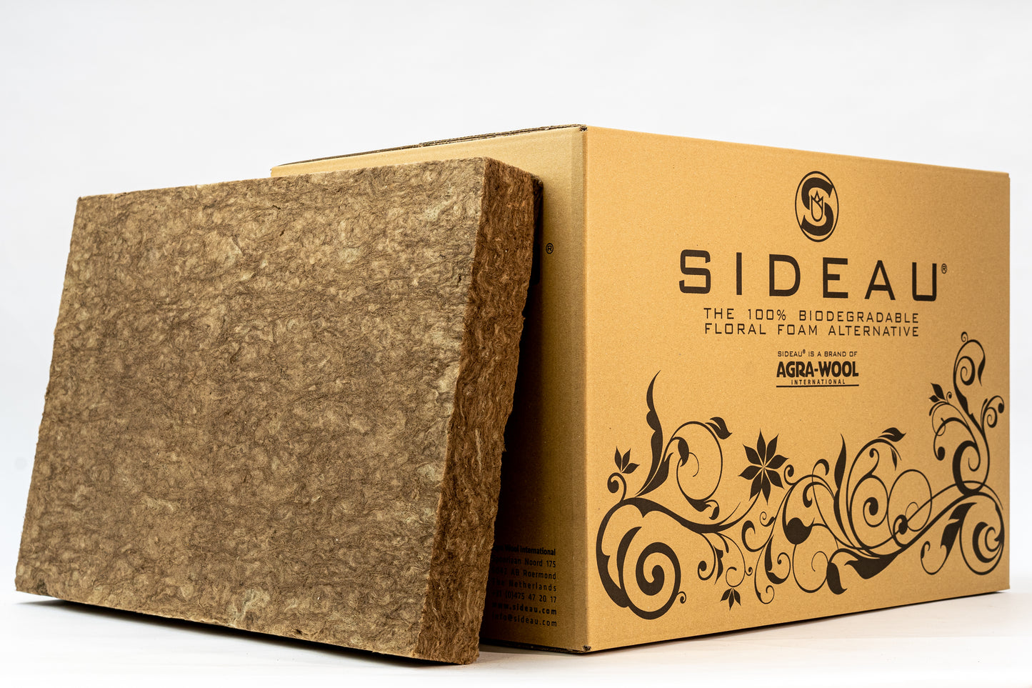 Single sheet of Sideau biodegradable floral foam alternative leaning against the product box.