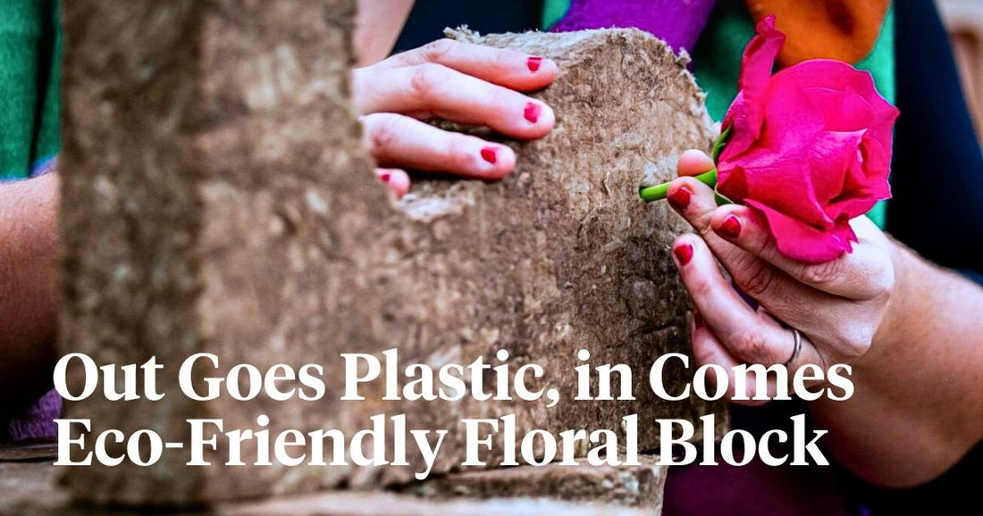 Beyond Floral Foam: How No Plastic Floral Foam! and Sideau® Are Transforming Floristry