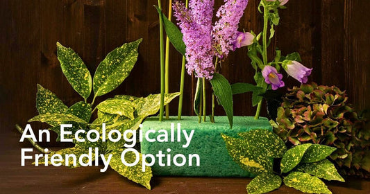 Why You Should Advocate for #NoPlasticFloralFoam in Sustainable Floristry