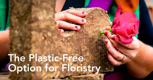No Plastic Floral Foam! Champions Sustainability: Why Florists Are Switching to Sideau®