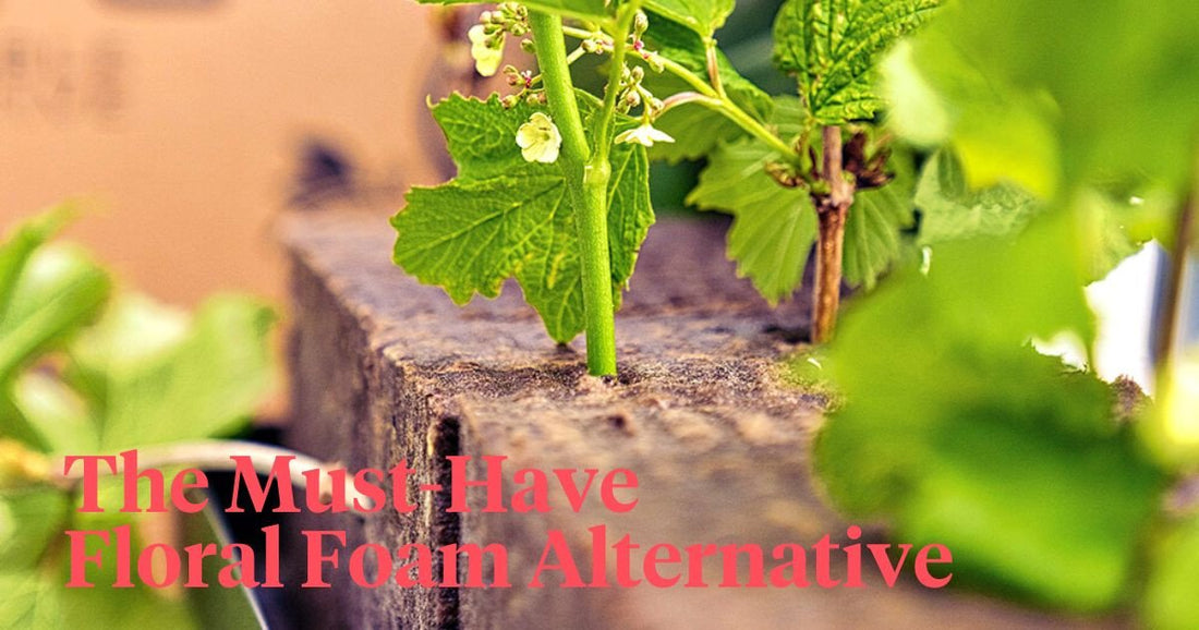 Sideau® and No Plastic Floral Foam! Leading the Plastic-Free Revolution in Floristry